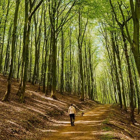 Skaralids Camping & Vandrarhem Ljungbyhed Zewnętrze zdjęcie